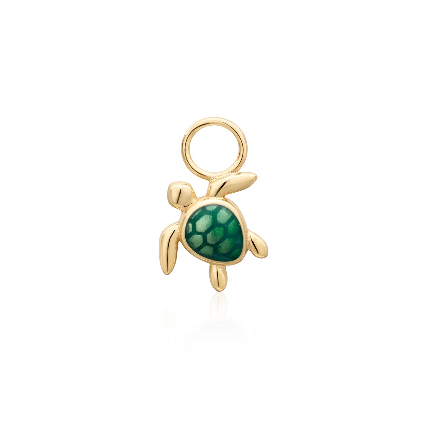 Charm Turtle