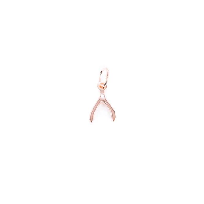 charm Wishbone