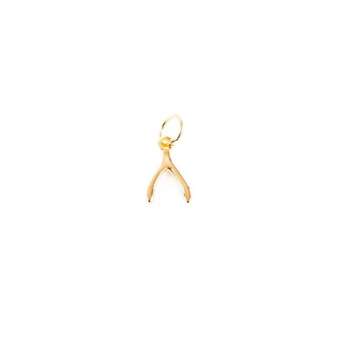 charm Wishbone