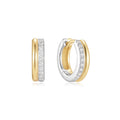 Earring Hoop Duotone Bright
