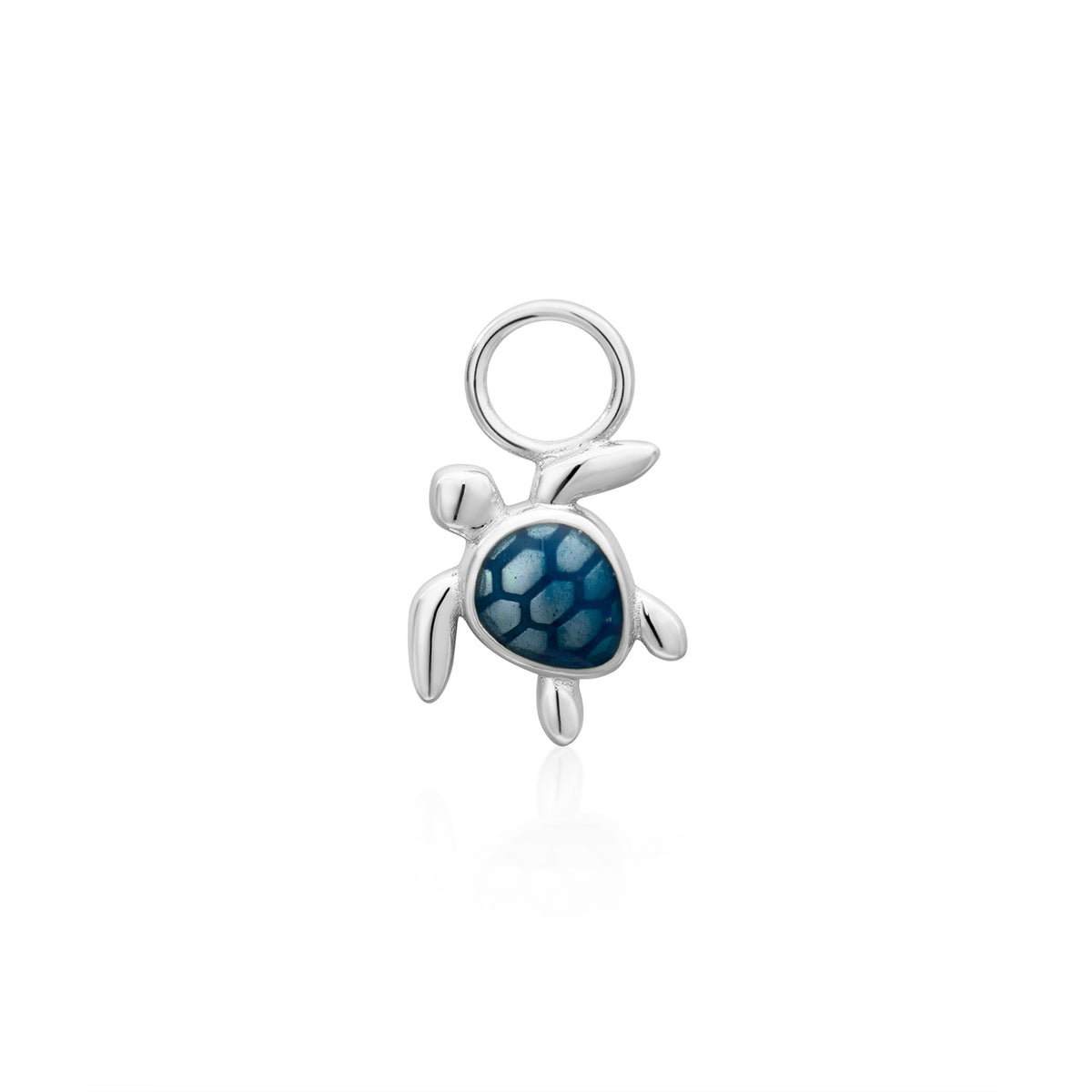 Charm Turtle
