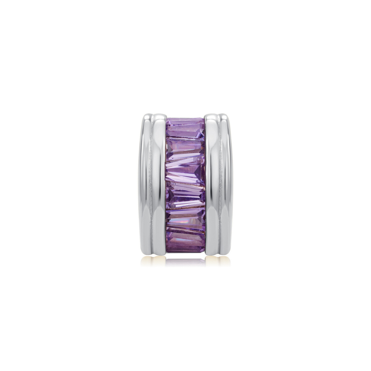 Charm Birthstone February