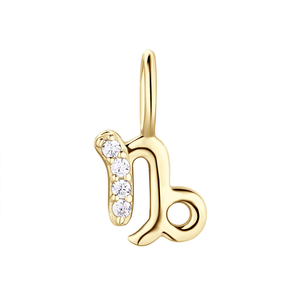 Charm capricorn