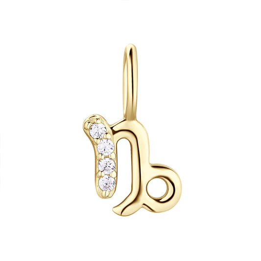 Charm capricorn