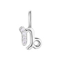 Charm capricorn