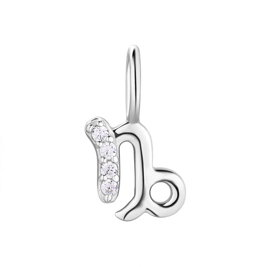 Charm capricorn